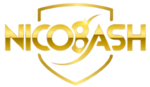 NICO8ASH เว็บพนันครบวงจร ที่คุณไว้ใจได้เดิมพันง่าย จ่ายจริง